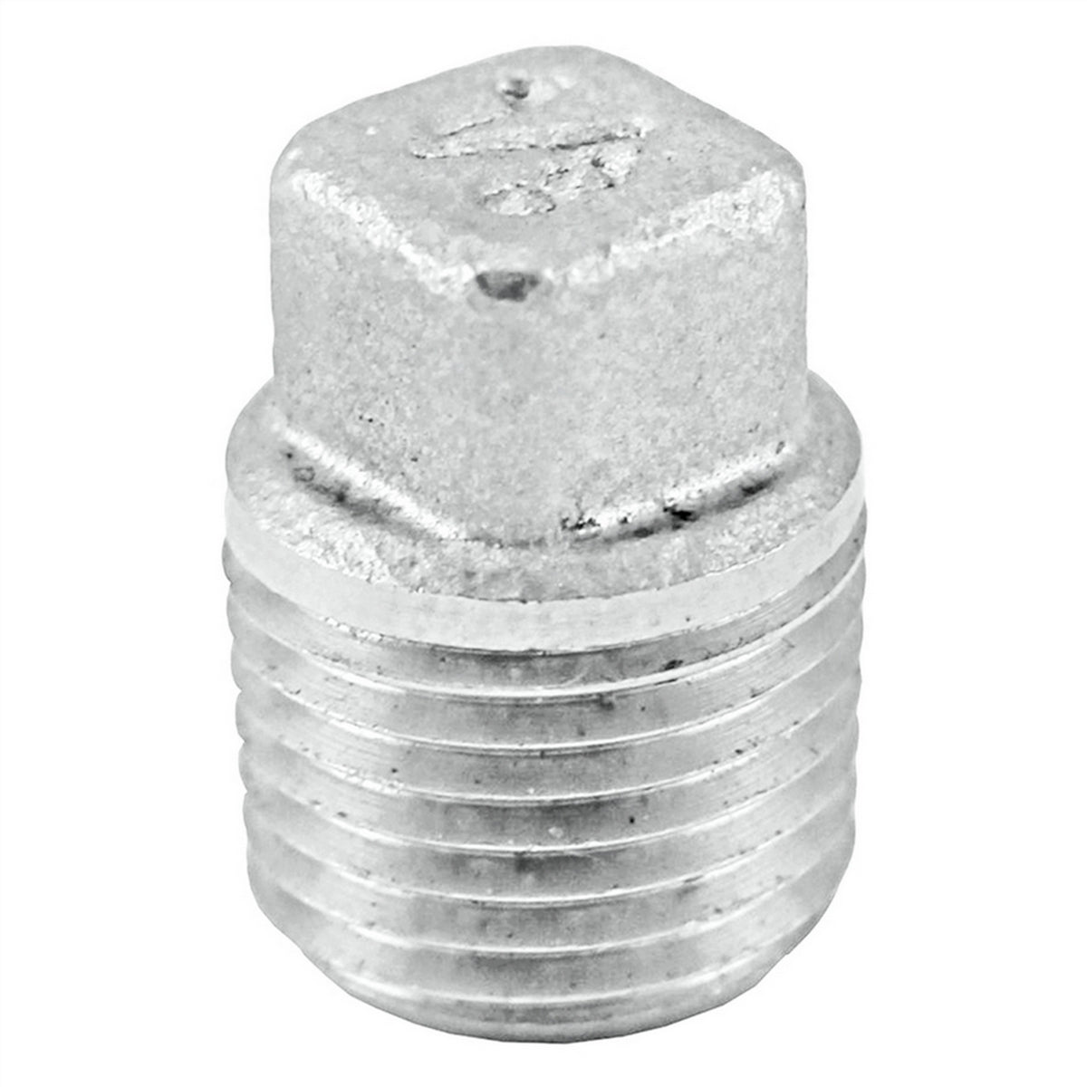 Stainless Steel Square Head Plug - 1/8" Male NPT