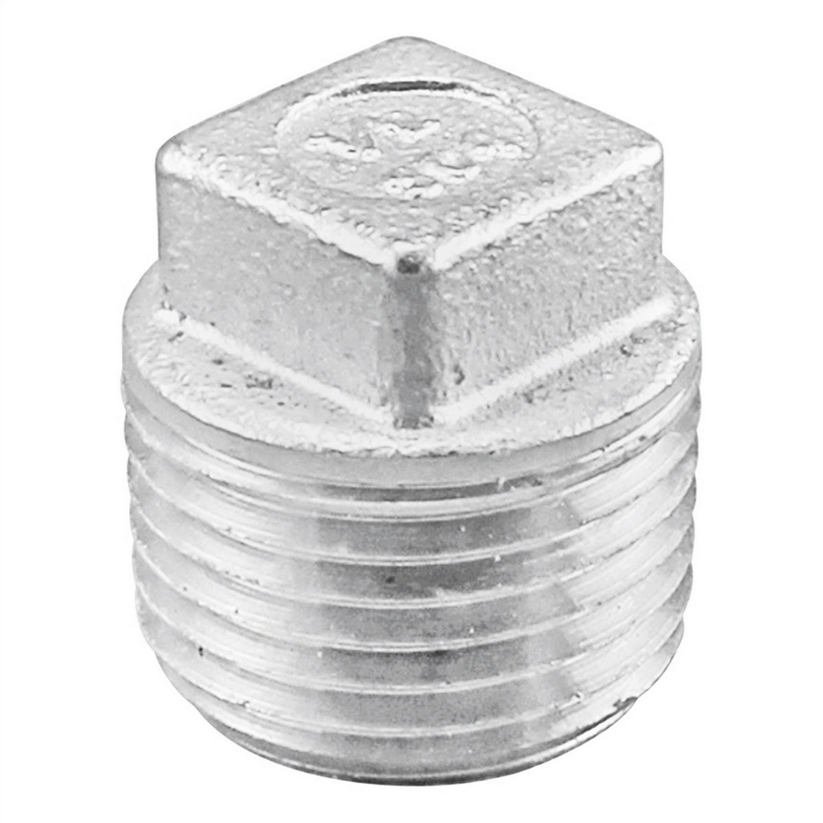 Stainless Steel Square Head Plug - 1/2" Male NPT