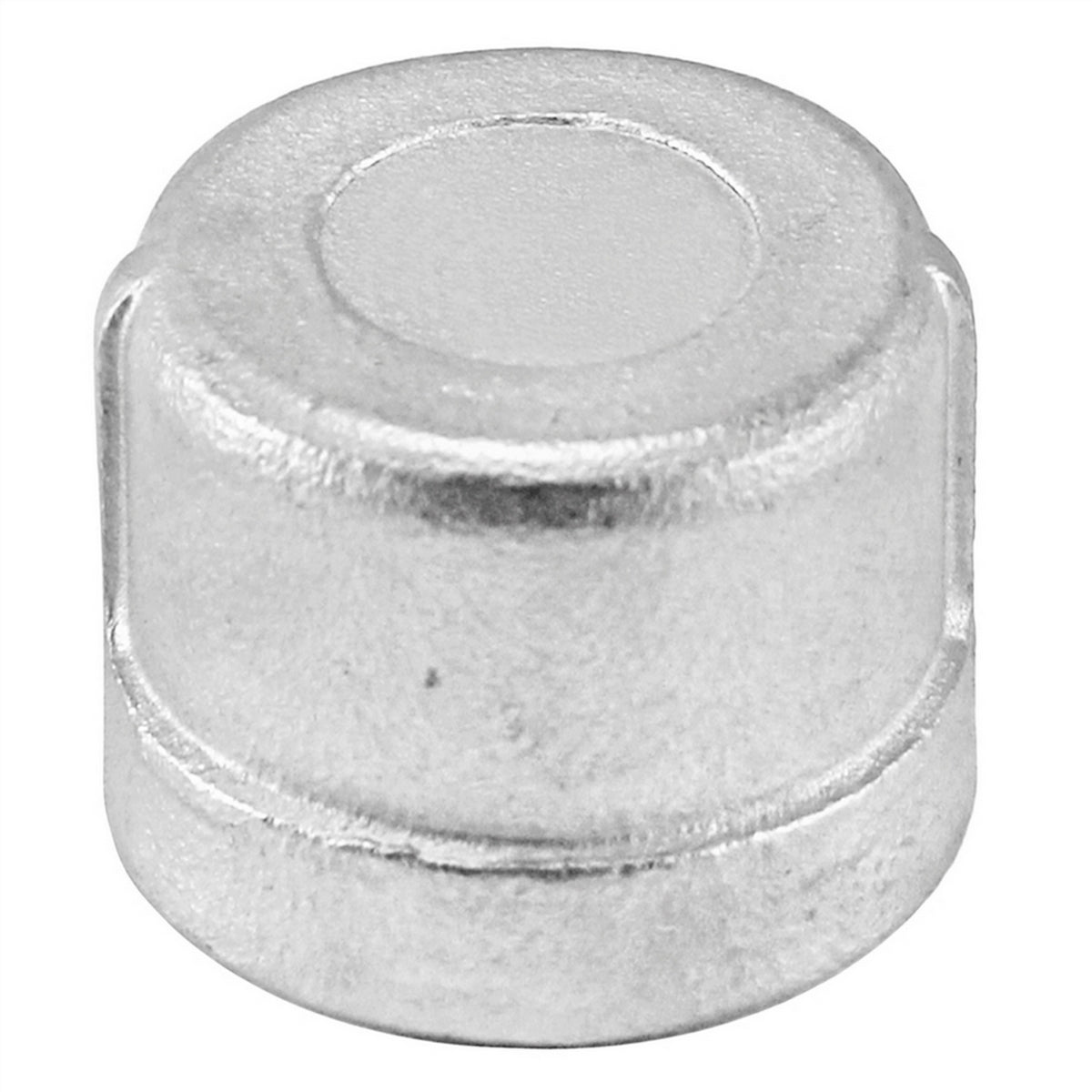 Stainless Steel End Cap - 1/4" Female NPT