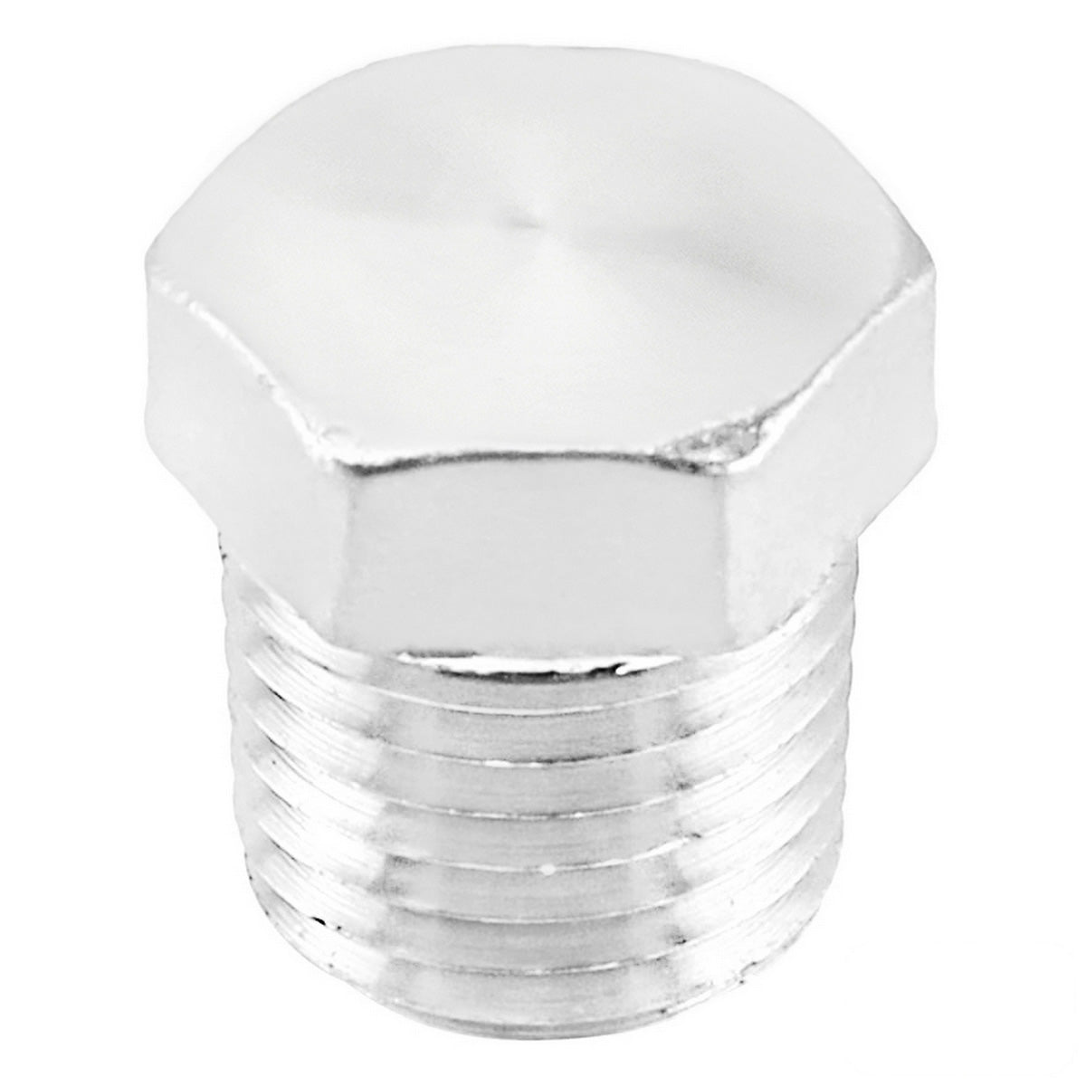 Stainless Steel Hex Plug - 1/4" Male BSP