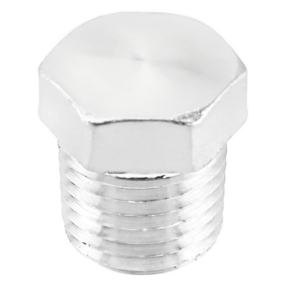 Stainless Steel Hex Plug - 1/4" Male BSP