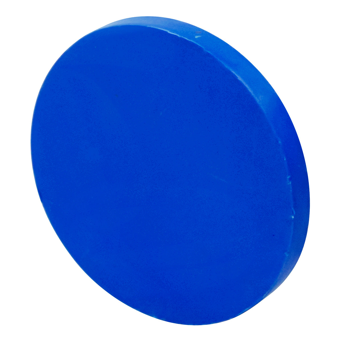 Plastic Tri-Clover Dust Cap - 3" TC (Blue)